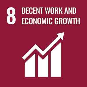 Goal 08 - Decent Work Economic Growth