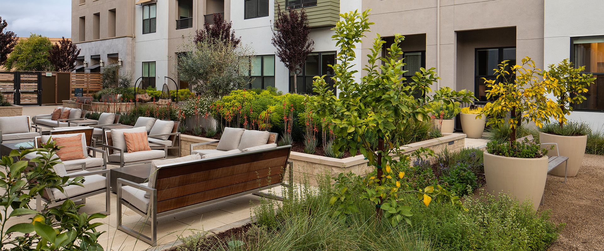 Patio area at ARLO Mountain View featuring a sustainable garden with raised beds and greenery.