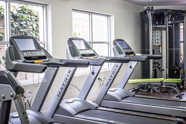 Fitness center with cardio and strength training equipment.