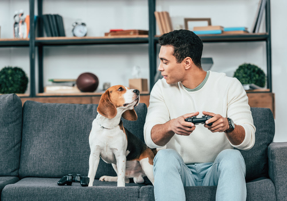 Young man sitting on a sofa next to his dog while playing video games.