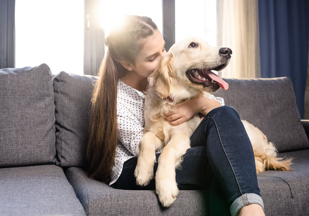 Young girl sitting on a sofa and hugging golden retriever.