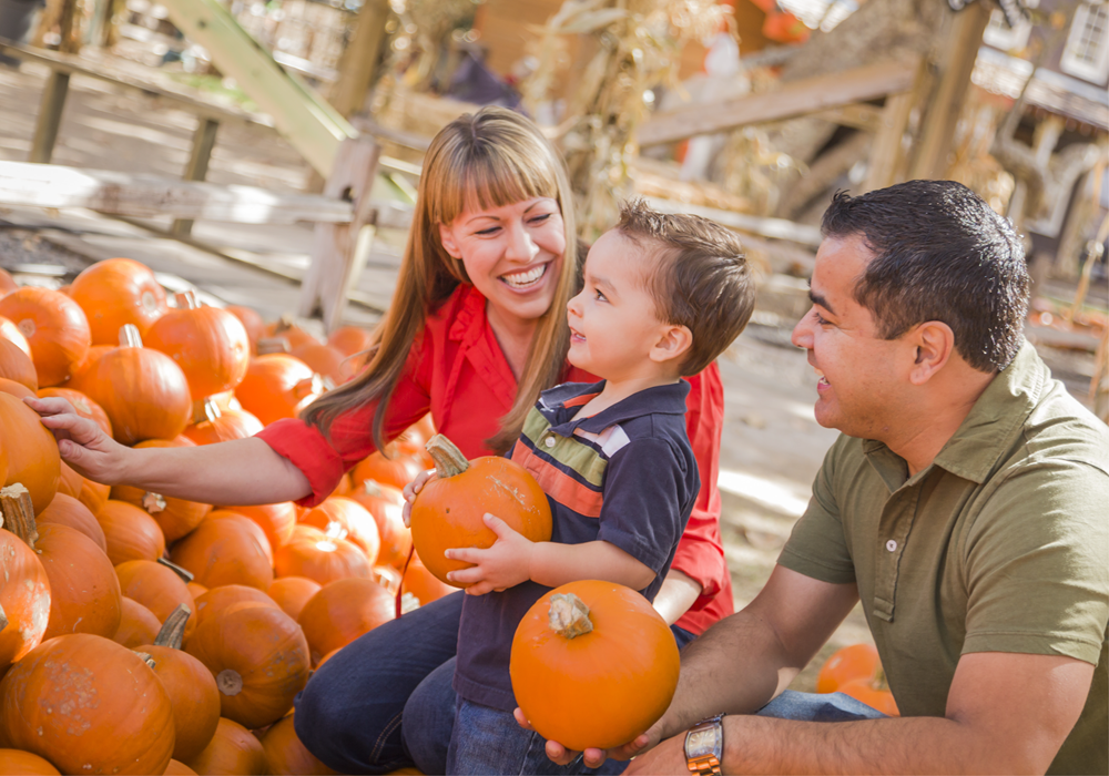 Family of 3 at a Southern California pumpkin patch.