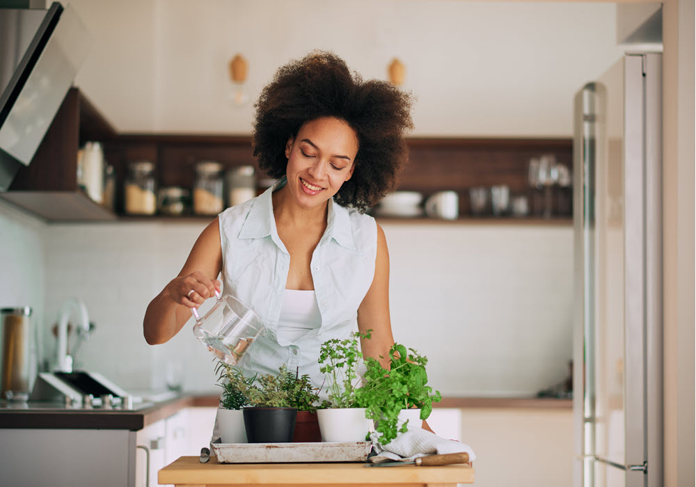 Woman starting an herb garden in her apartment home.