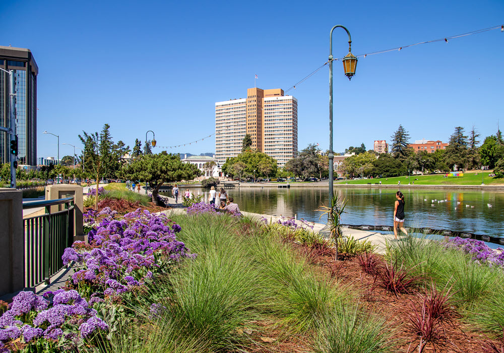 Landscaping and lake in Oakland.