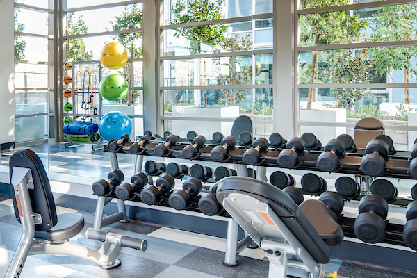 Fitness center with cardio and strength training equipment.