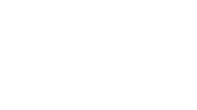 Vela on Ox Logo