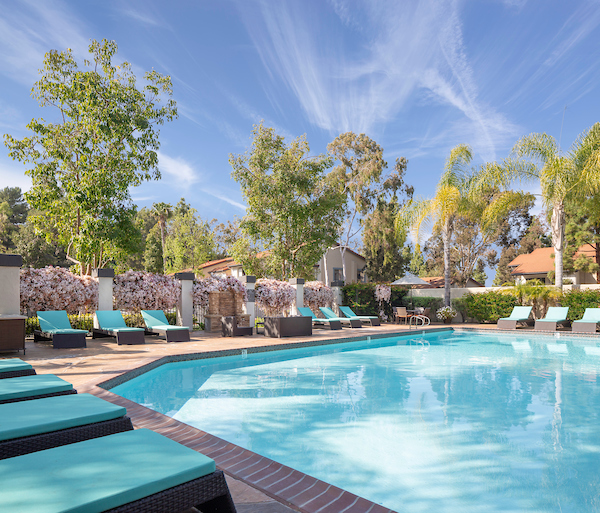 Outdoor swimming pool area with lounge seating surrounded by trees.