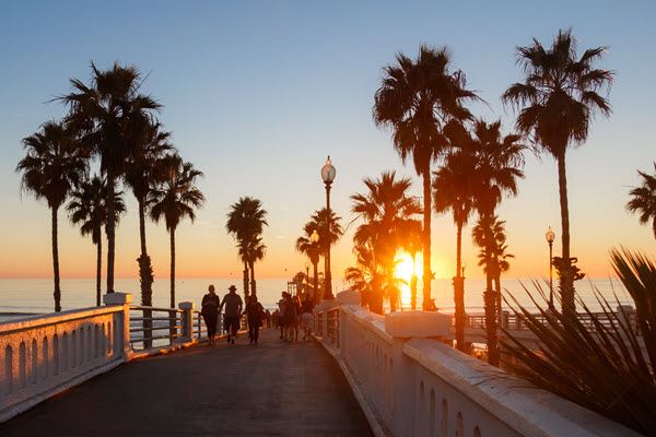 Walking bridge surrounded by palm trees at sunset.