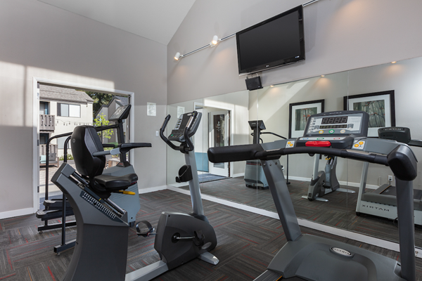 Onsite gym with treadmills and stationery bicycles.